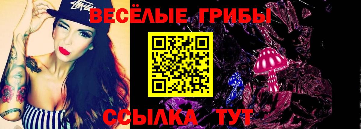 Малгобек  Галлюциногенные грибы GOLDEN TEACHER  Галлюциногенные грибы MAGIC MUSHROOMS  Вход с VPN 